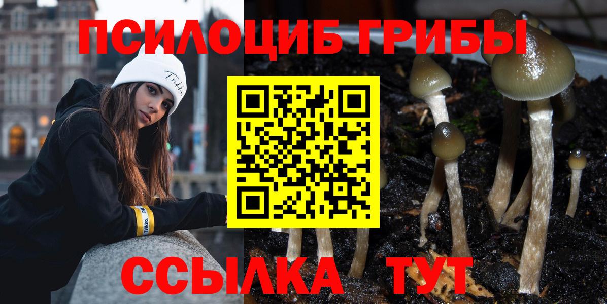 Сафоново  Псилоцибиновые грибы Psilocybine cubensis  Вход с VPN 