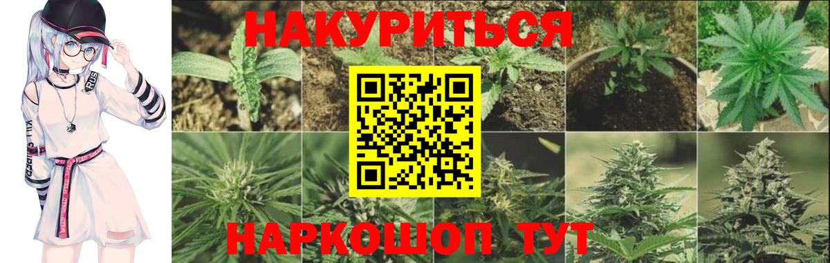 Канабис сатива Сафоново